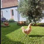 Il Borgo Delle Emozioni Bed and breakfast Dolianova