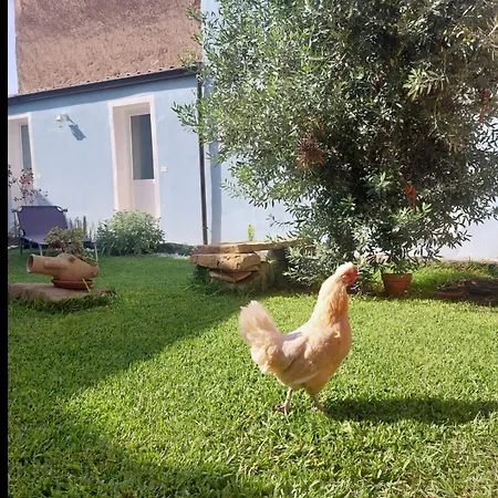 Il Borgo Delle Emozioni Nocleg ze śniadaniem Dolianova