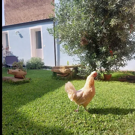 Il Borgo Delle Emozioni Bed & Breakfast Dolianova